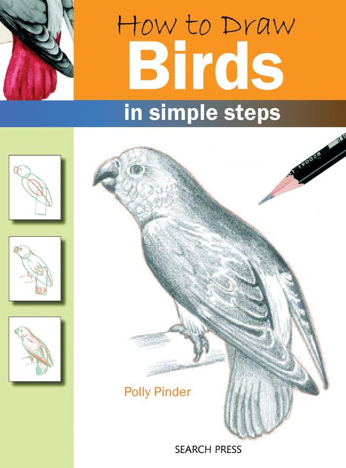 How to Draw in Simple Steps - Birds - Art & Office