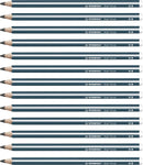 Trio Thick Graphite Pencils