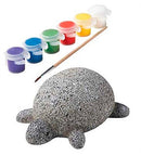 Rock Pets Turtle